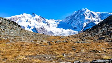 Bergen bij Zermatt in Zwitserland van Jessica Lokker
