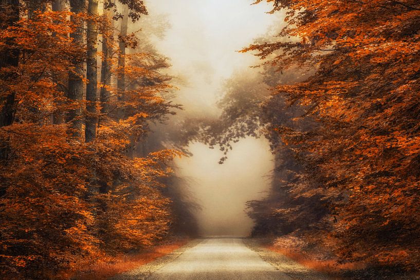 Herz auf dem Herbstweg von Lars van de Goor