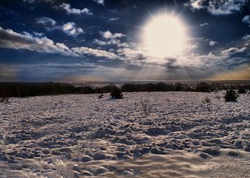 Winterlandschap in de zon