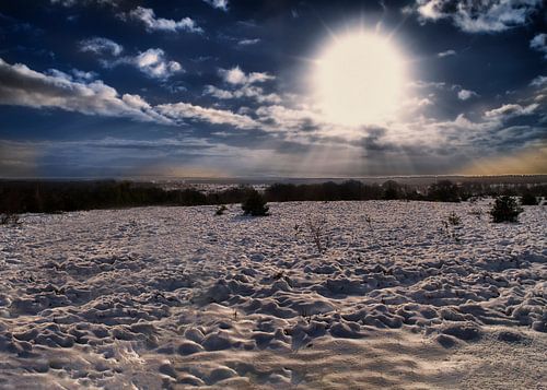Winterlandschap in de zon