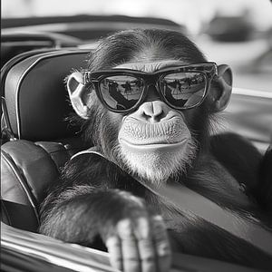 Entspannter Affe im Cabrio