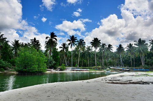 Tussen zand en tropische mangroven