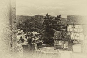 Kasteelcomplex aan de Neckar