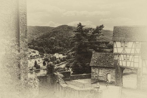 Kasteelcomplex aan de Neckar van Thomas Riess