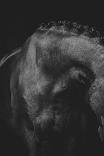 Art équin sur Estelle Roelofs