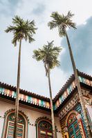 Palmbomen en kleurrijke gebouwen van Little India