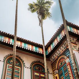 Palmen und bunte Gebäude in Little India von Amber Francis