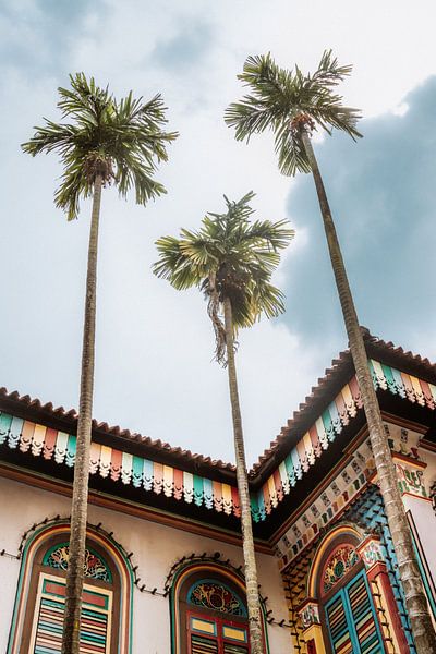 Palmen und bunte Gebäude in Little India von Amber Francis