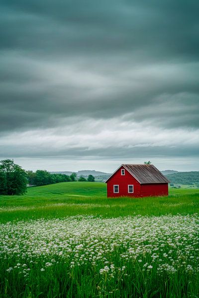 Red House Meadow by Poster Art Shop