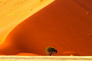 Rode duinen van Sossusvlei van Angelika Stern