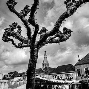 boxtel