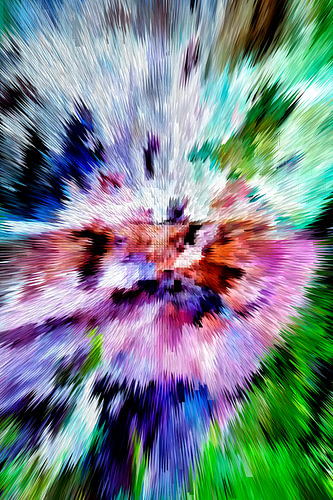 Digital art