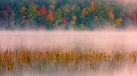 Autumn at Connery Pond in Adirondack State Park by Henk Meijer Photography thumbnail
