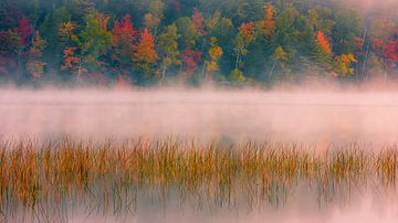 Herfst bij Connery Pond in Adirondack State Park van Henk Meijer Photography