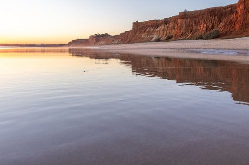 Zonsondergang op het zandstrand Praia da Falésia. Kliffen Roze bloemen bij Albufeira, Portugal