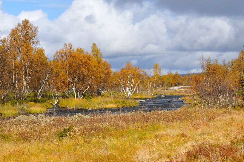 River in Sweden in Jämtland by Karin Jähne
