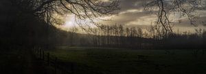Ein neuer Morgen in der Utrechter Landschaft von Mart Houtman