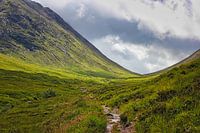 the path into the green valley