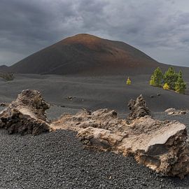 Arenas Negras volcanic landscape, Tenerife by Walter G. Allgöwer
