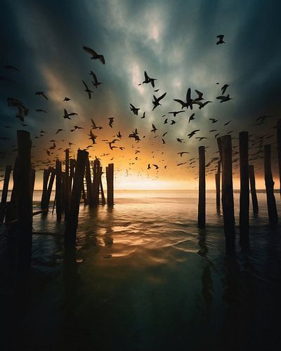 Beautiful Baltic Sea