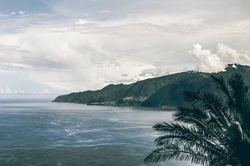 Paradijselijk uitzicht over Madeira van Daan Duvillier | Dsquared Photography