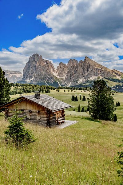 Seiser Alm in den Dolomiten von Dirk Rüter