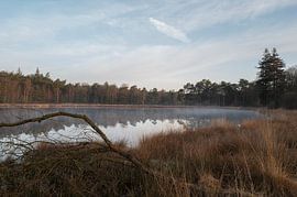 Dwingelderveld – Drenthe (Niederlande) von Marcel Kerdijk