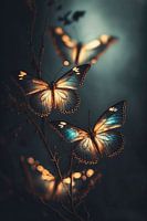 Gloeiende vlinders