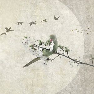 Japandi. Vögel am Himmel.