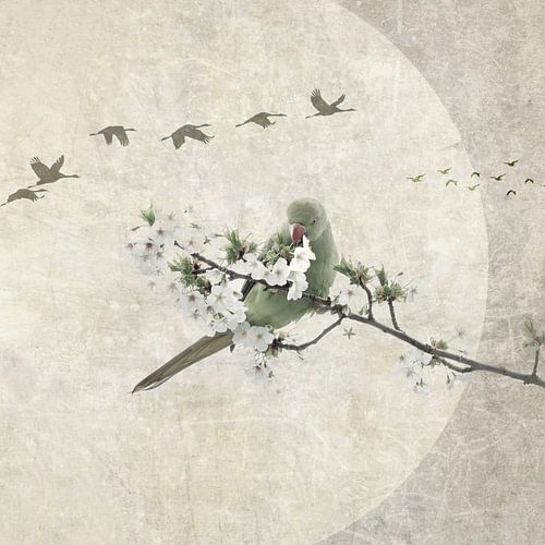 Japandi. Birds in the sky.
