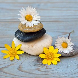 zenstenen met bloemen van Trinet Uzun