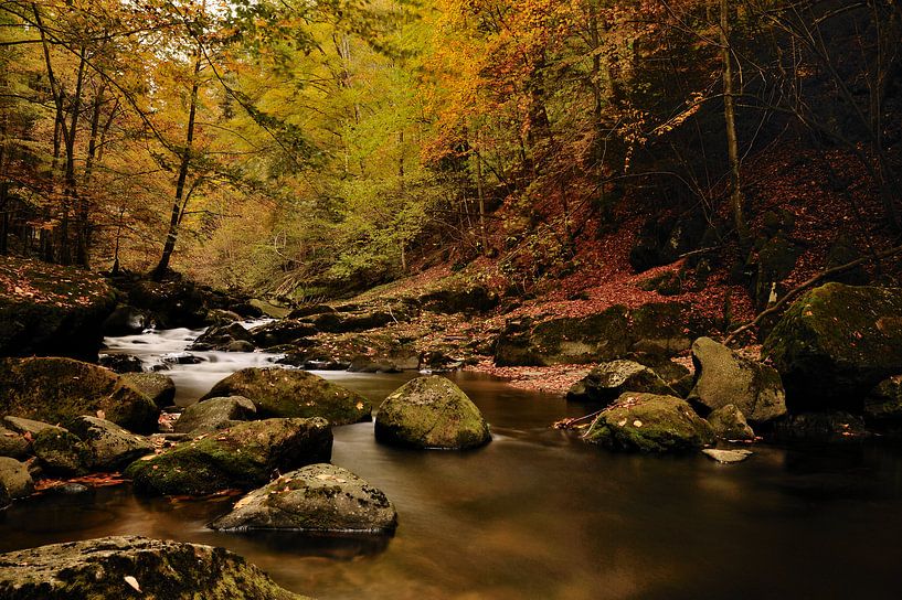 Rivier in bos met herfstsfeer van Gonnie van de Schans