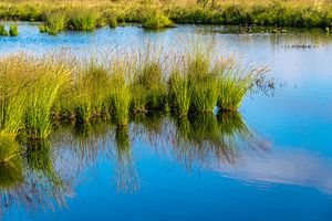 high fens by Heinz Grates