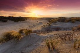 Coucher de soleil orageux dans le parc Westduin près de Kijkduin
