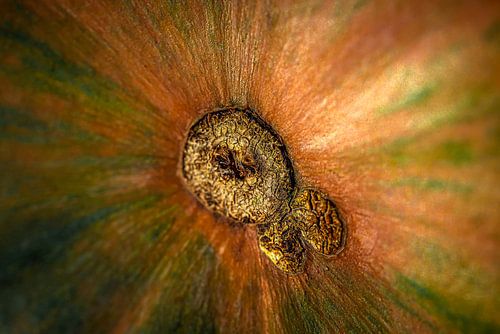 UFO: Unidentified Flora object