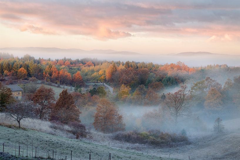 Mreznicki Brest by René Pronk