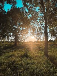 Sonnenuntergang in der Natur von Life’s beauty