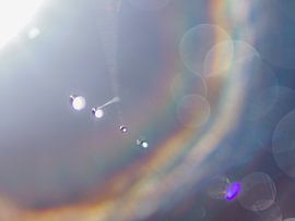 Gouttes dans une toile d'araignée avec rétro-éclairage