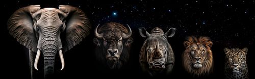 De grote vijf (wild) - Afrika