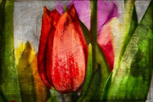 Tulpenboeket met structuur