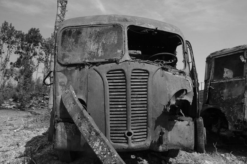 Tijdloos  von Marcel van Rijn