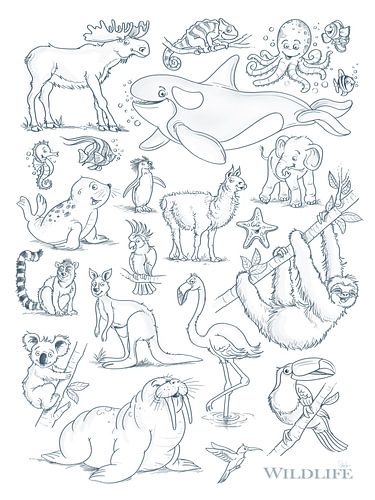 funny animal drawings