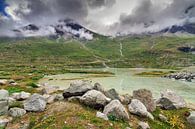 Moiry landschap in de zomer von Dennis van de Water Miniaturansicht