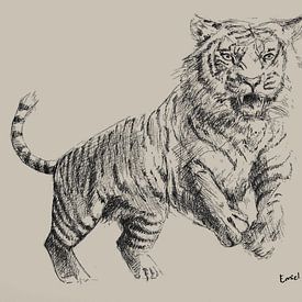 Dessin au crayon d'un tigre sur fond taupe sur Emiel de Lange
