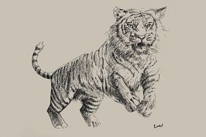 Bleistiftzeichnung eines Tigers mit taupefarbenem Hintergrund