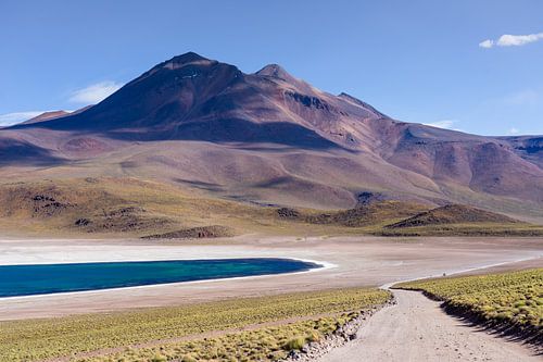 Miscanti Lagune in der Atacamawüste in Chile