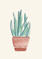 Plante en pot exotique