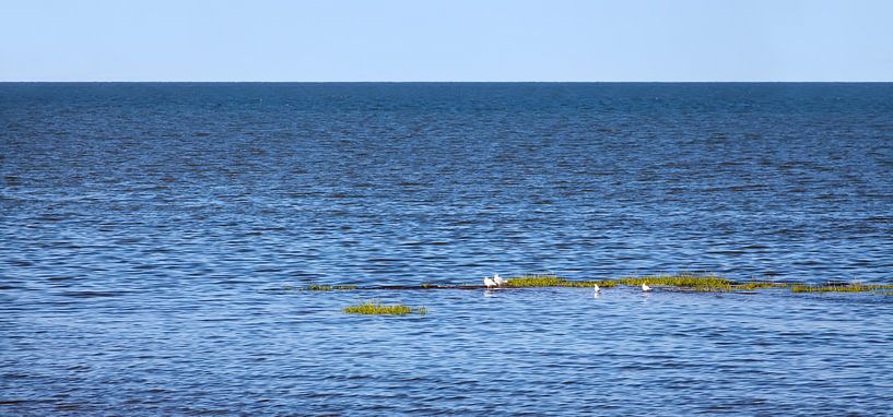 Wattenmeer von Bo Valentino