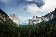 Yosemite National Park Mountains by Walljar thumbnail