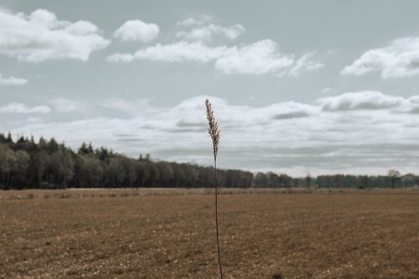 La vie à la campagne par Herma Vos